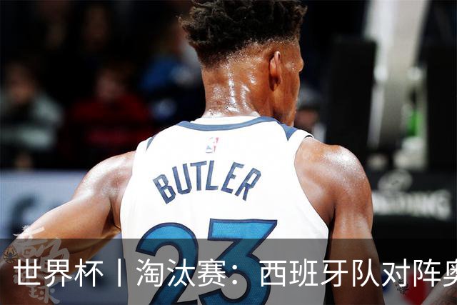 世界杯丨淘汰赛：西班牙队对阵奥地利队
